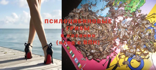 МДПВ Алексин