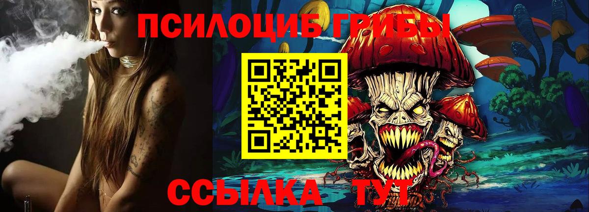 Кызыл  Галлюциногенные грибы Psilocybine cubensis  Вход с VPN 